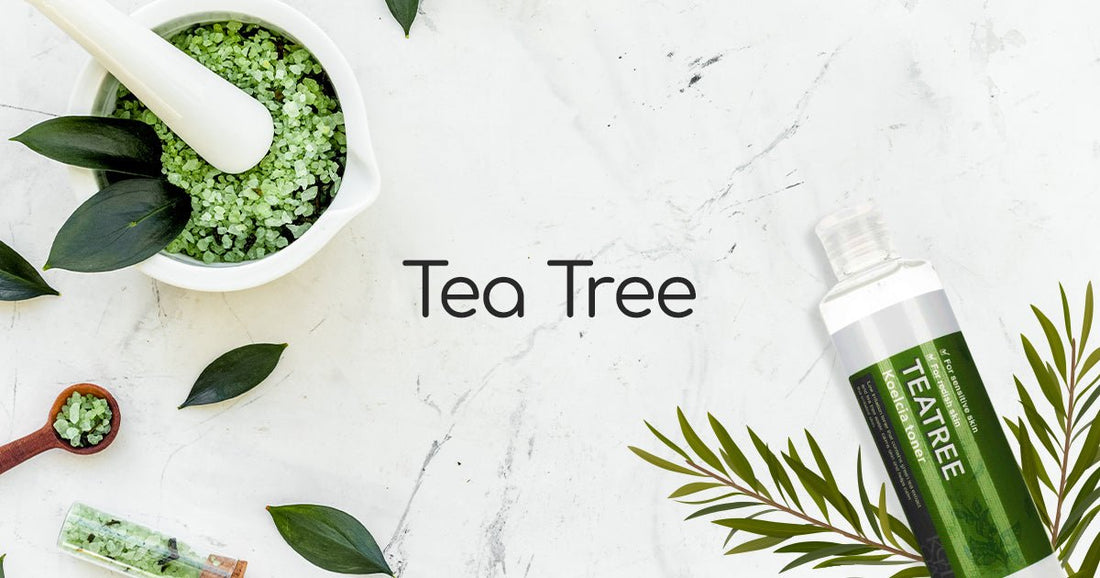 Best Korean Tea Tree Skincare Products - Lakinza