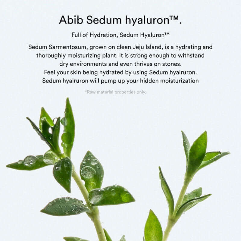 Abib Sedum Hyaluron Pad Hydrating Touch 165ml / 60pads