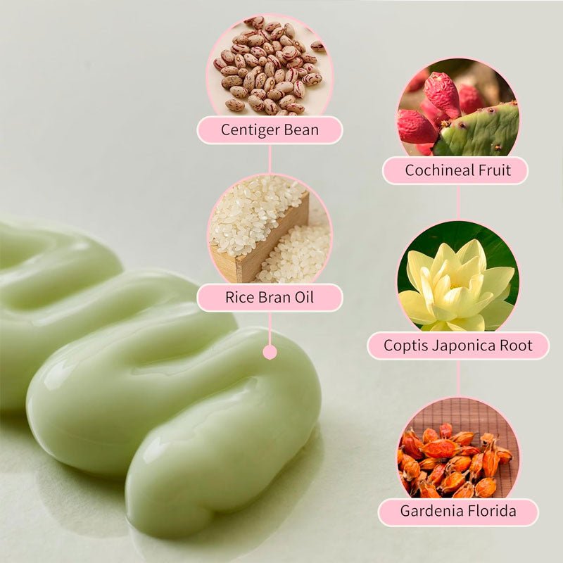 Beauty of Joseon Jelloskin Massage Cream for Face and Body 200ml Buy Korean Skincare in Canada