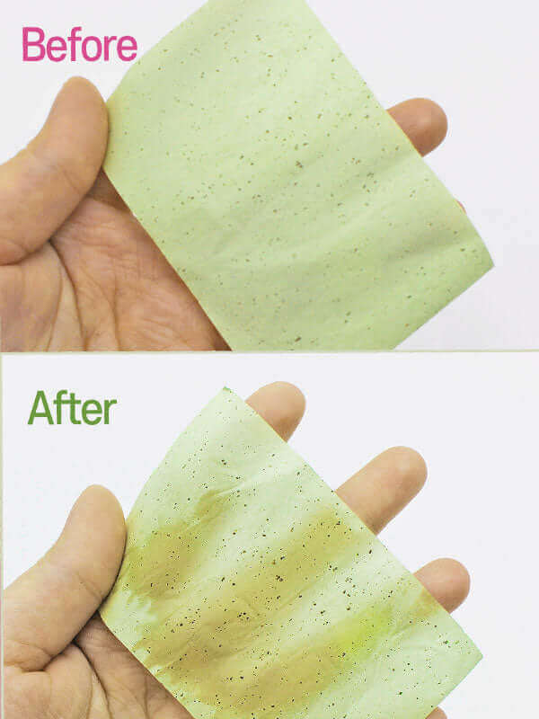 Belotty Oil Blotting Papers with Green Tea 100pcs Korean Skincare Canada