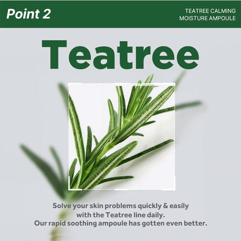 Mediheal Teatree Calming Moisture Ampoule 50ml Korean Skincare