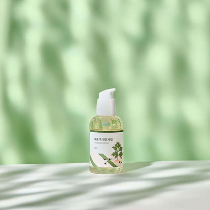 Round Lab Mugwort Calming Serum 50ml Buy Korean Skincare in Canada