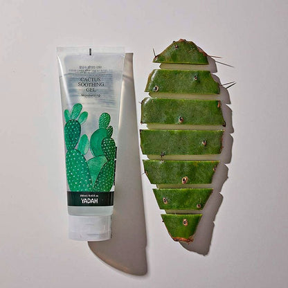 Yadah Cactus Soothing Gel 250ml Korean Skincare